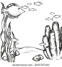 ilustração vetorial do fundo do mar, animal de profundidades, planta subaquática desenhada à mão, peixes tropicais, corais de esponjas tubulares no fundo do mar, oceano, esboço preto branco monocromático de recife, arte de linha marinha