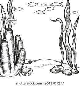 ilustração vetorial do fundo do mar, habitantes das profundezas, algas subaquáticas desenhadas à mão, planta, corais de esponjas tubulares no fundo do mar, oceano, esboço monocromático preto branco de recife, arte da linha marinha