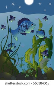 vector illustration .sea,fish and seaweed