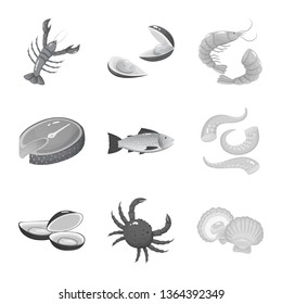 Vector illustration of seafood and healthy icon. Collection of seafood and ocean vector icon for stock.