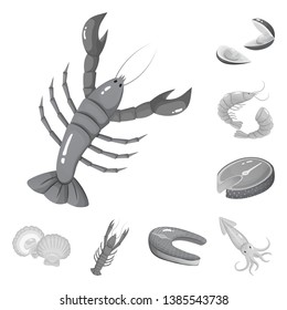 Vector illustration of seafood and healthy icon. Collection of seafood and ocean vector icon for stock.