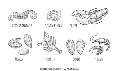 Vector illustration of seafood icons set. Octopus tentacle, squid rings, lobster, mussels, crayfish, oyster, shrimp. Vintage hand drawn style.