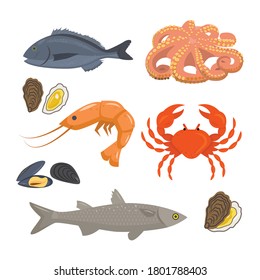 Vector illustration of seafood: octopus, Dorado fish, shrimp, mussels and oysters, crab.