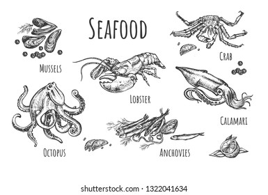 Vector illustration of seafood set. Mussels, lobster, crab, octopus, anchovies, calamari. Vintage hand drawn style.