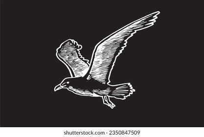 Vector illustration of sea-gull flying isolated on black,graphical drawing of bird