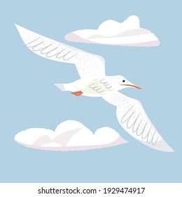 Vector Illustration of a Seagull Flying in the Sky. Vector image isolated on a blue background. 