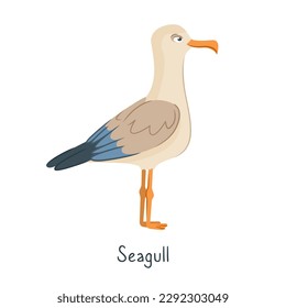 Vector illustration of a seagull isolated on a white background. The concept of sea recreation, travel. Marine style. Marine animals and birds