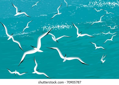 Vector illustration of seagulls flying over the sea