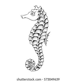 Vector Illustration of a Seahorse isolated on a white background