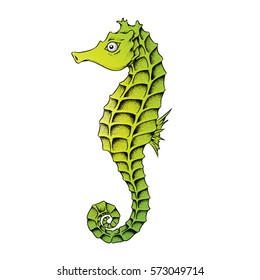 Vector Illustration of a Seahorse isolated on a white background