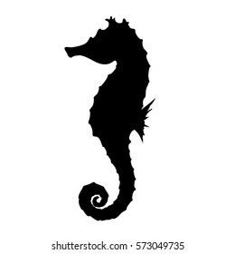 Vector Illustration of a Seahorse isolated on a white background