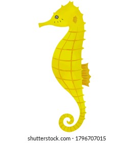 Vector illustration of seahorse on white background