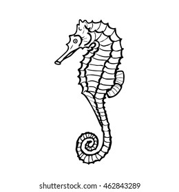 Vector illustration of seahorse silhouette. Hand drawing hippocampus