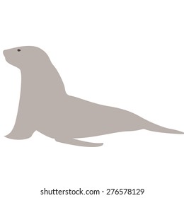 vector illustration of seal
