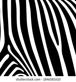 Vector illustration seamless animal patterns. Safari textile concept. Tiger, zebra, leopard, jaguar and giraffe skin seamless patterns in flat style for your design.