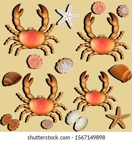 Vector illustration of seamless background with crabs, crayfish on the sand
