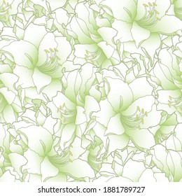 Vector illustration. Seamless background. Hand drawing white flowers. Amaryllis, hippeastrum, lily buds. Botanical illustration. White-green shades.