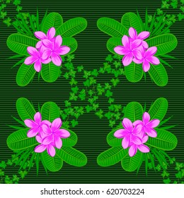 Vector illustration. Seamless background pattern with decorative plumeria flowers and leaves on a green background.