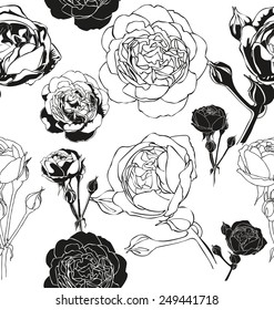 Vector illustration of  seamless background with roses