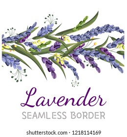 Vector illustration. Seamless vector border. Border of lavender. All elements are isolated.