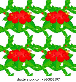 Vector illustration. Seamless floral pattern on a white background with motley hibiscus flowers.
