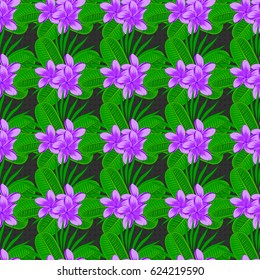 Vector illustration. Seamless floral pattern on a gray background with motley plumeria flowers.