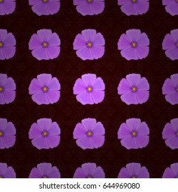 Vector illustration. Seamless floral pattern in cute cosmos flowers on a brown background.