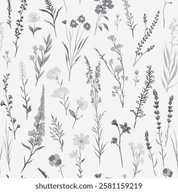 vector illustration of Seamless monochrome pattern with various wildflowers and delicate plants