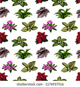 vector illustration of Seamless Nature Plants with beautiful flowers