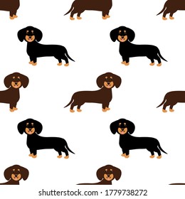 vector illustration seamless pattern with cute funny dog ​​dachshund in brown and black colors on a white background. Seamless pattern for background and textile