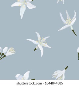 Vector illustration of seamless pattern of delicate buds of coffee flowers on a blue background. Packaging design, dress fabric, or wrap