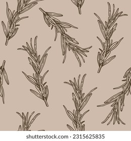 Vector illustration, seamless pattern design. Hand-drawn twigs of rosemary. Engraving in vintage style. Line art, elegant botanical drawing with texture. Brown color palette. Medical herbs, spice.