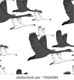 Vector illustration of Seamless pattern of drawing Flying Swans. Hand drawn, doodle graphic design with birds. Wrapping paper, wallpaper, backdrop.