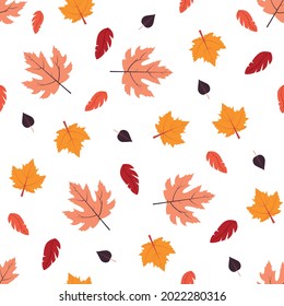 Vector illustration with seamless pattern of fallen leaves Dry leaves of oak, maple and other trees on white background