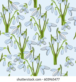 Vector illustration of seamless pattern First Snowdrops Galanthus Flowers. Spring background, wallpaper and printable wrapingpaper.
