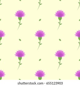 Vector illustration of a seamless pattern of flowers of a cornflower