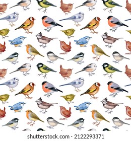 Vector illustration of seamless pattern with forest birds