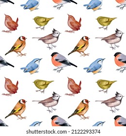 Vector illustration of seamless pattern with forest birds