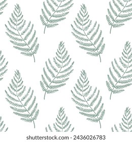 Vector illustration. Seamless pattern of green fern leaves on a white background. Printing on textiles, for packaging, product design, wallpaper, design of notebooks.