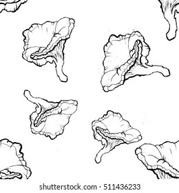 Vector illustration. Seamless pattern with hand drawn mushrooms. Wallpaper. Forest motive. 