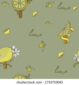 vector illustration seamless pattern intresting juicy lemon on a stick with flowers and peel, on a gray-green background,lettering.