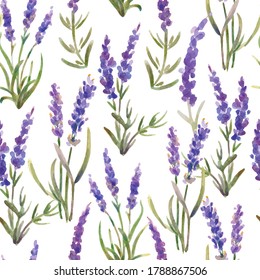 Vector illustration. seamless pattern of lavender flowers. Watercolor painting