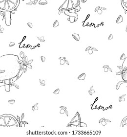 vector illustration seamless pattern lemon on a stick with flowers, against the background of a lemon with leaves and slices