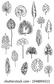 Vector illustration of seamless pattern made of black lines silhouettes of exotic leaves on white background
