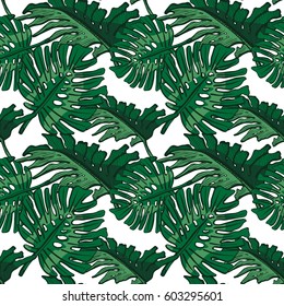 Vector illustration of a seamless pattern with monstera leaves. Tropical floral background.