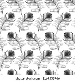 Vector illustration of seamless pattern with peacock feathers