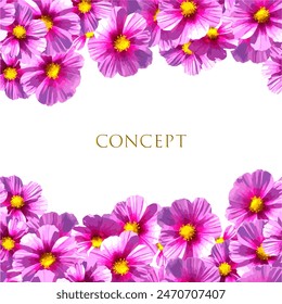 Vector illustration of seamless pattern of pink cosmos