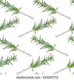 Vector illustration seamless pattern with rosemary sprig. Herbals and spices.