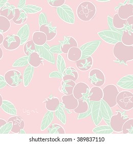 Vector illustration of seamless pattern with ugni berries.Pale pastel color linear graphic: green, white, pink. Hand drawing. Good for textile printing.Perfect for wrapping paper, design notebooks etc