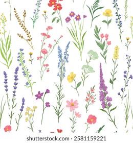 vector illustration of Seamless pattern with various wildflowers and delicate plants